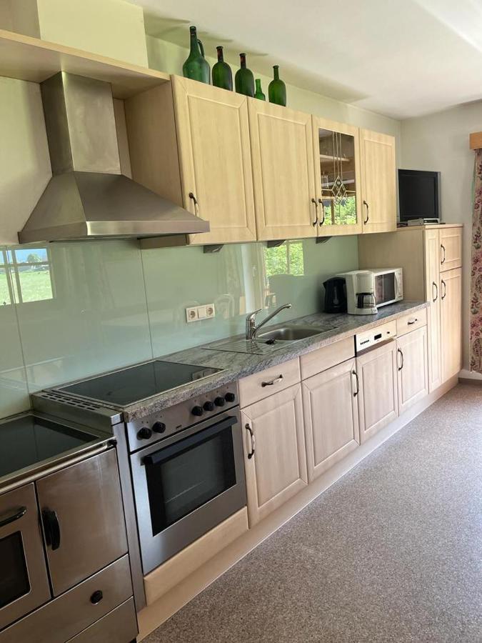Ferienwohnung Zillertaler Alpenblick Zell am Ziller Zewnętrze zdjęcie